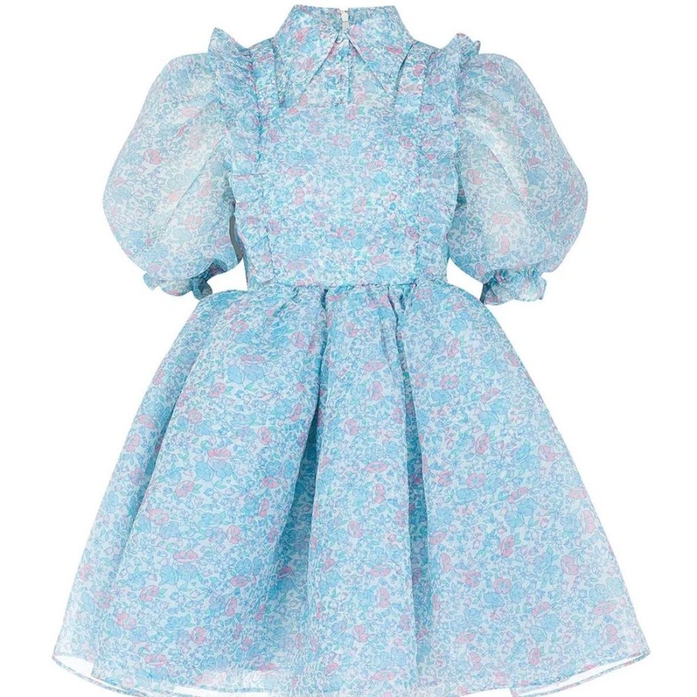 Selkie The Storybook Puff Sleeve Mini Dress, light blue floral, Selkie size 5X